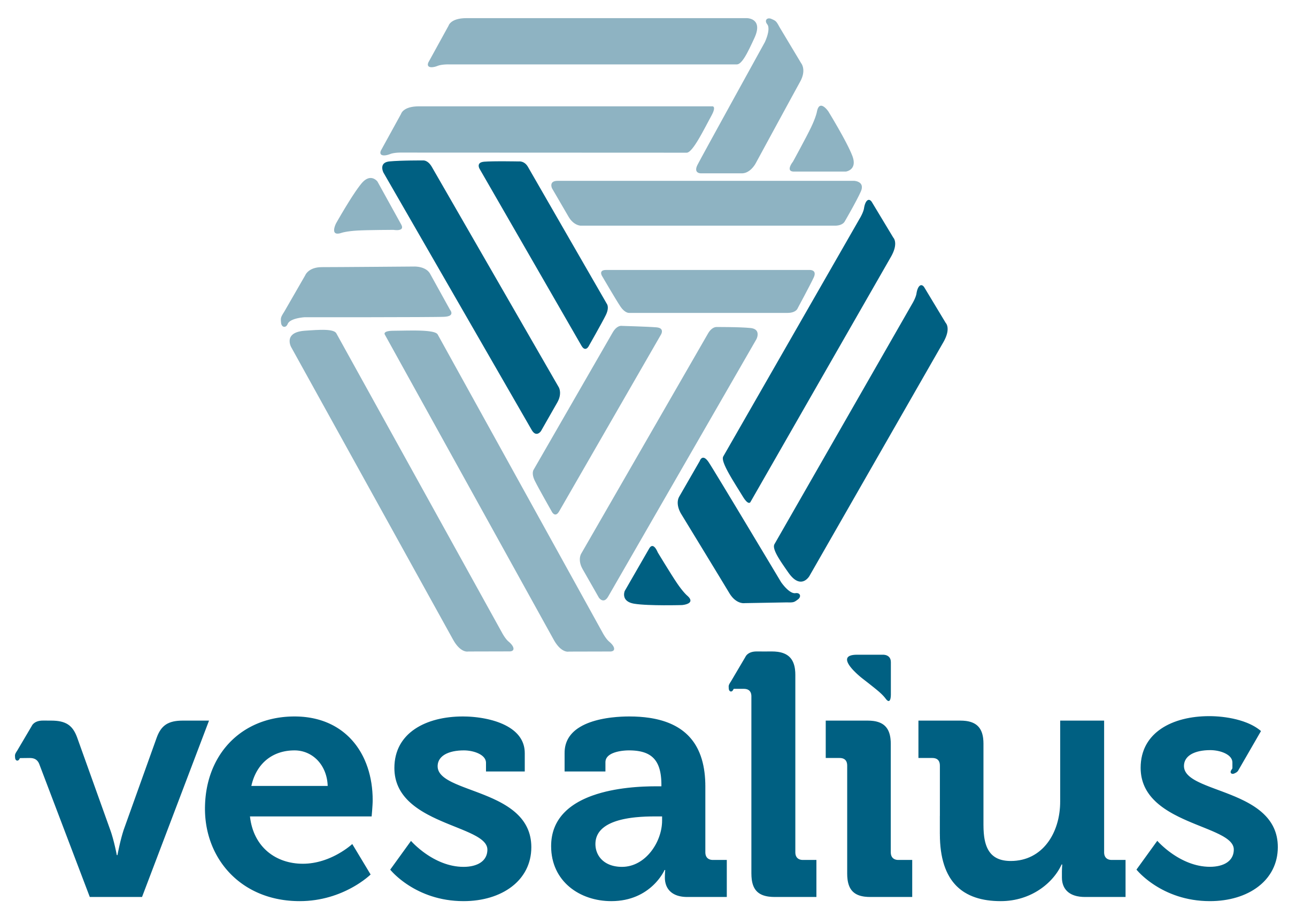 Logo Vesaliusinstituut