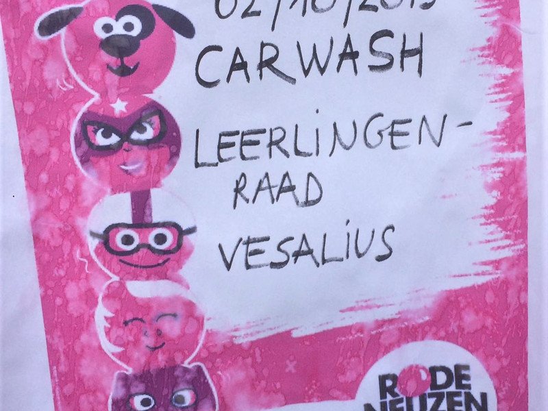 2019-10-03 rode neuzen car wash -11- bis.jpg