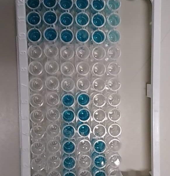 2020-01-27 5GW Elisa -2-.jpeg