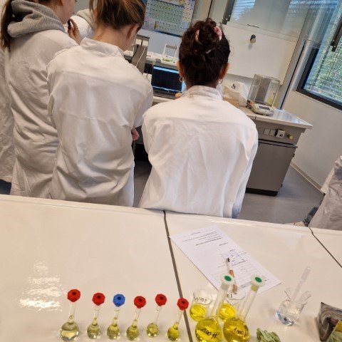 2024-11 Biotechnologische en chemische technieken -15-.jpg