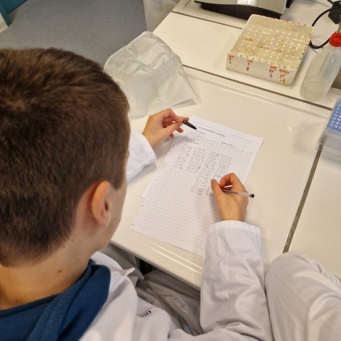 2024-11 Biotechnologische en chemische technieken -4-.jpg