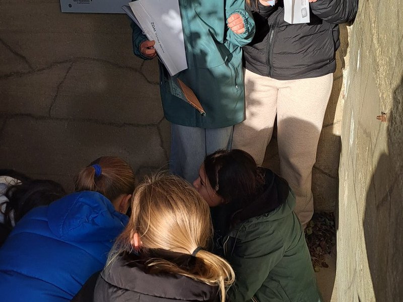 2025-10-24 Vesalius 1stes TB -26-.jpg