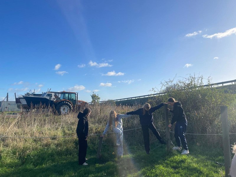 2025-10-24 Vesalius 3DS TB -5-_1.jpg