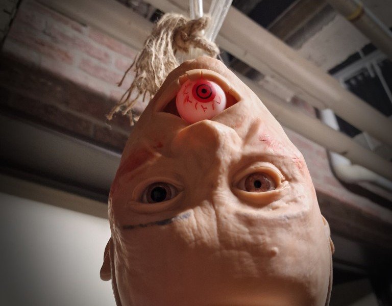 2025-11-07 ORT Vesalius -9-.jpg