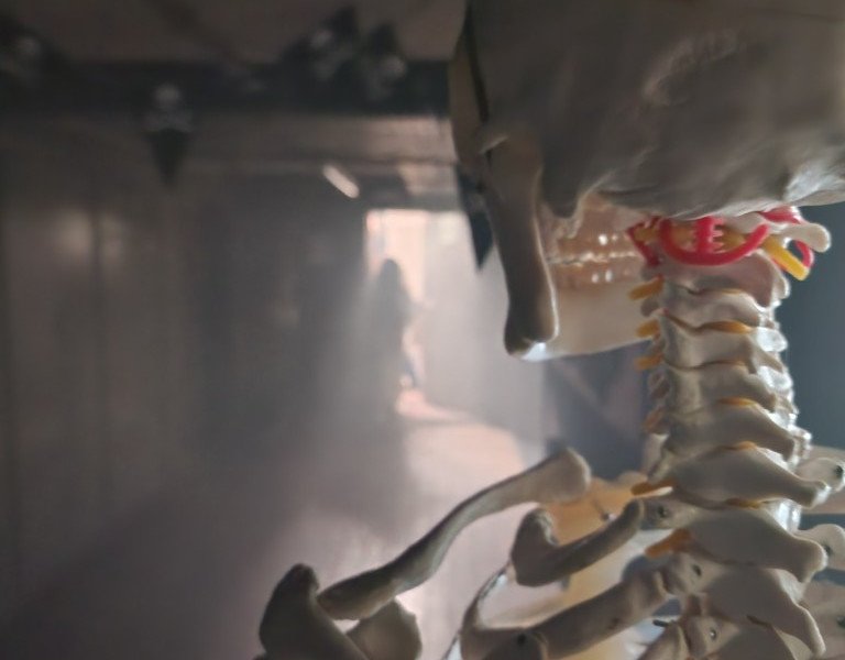 2025-11-07 ORT Vesalius -13-.jpg