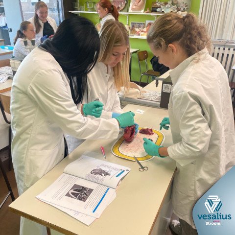 2025-11-17 5 Gezondheidszorg