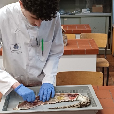 2026-02-02 zesdejaar Jaarwerkdag