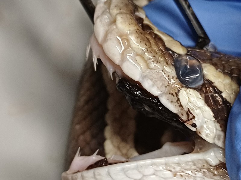 2026-01-29 jaarwerkdag 6des -6-.jpg