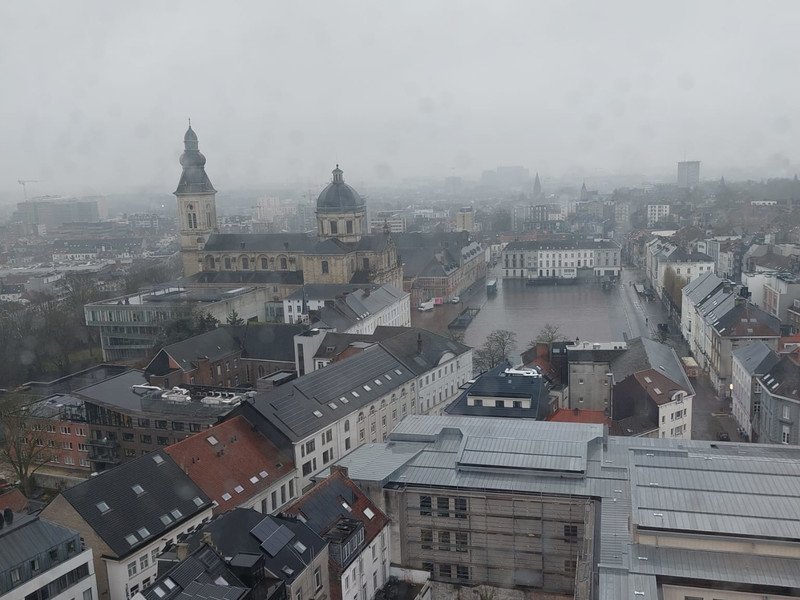 2026-02-10 6des Vesalius -1-.jpeg