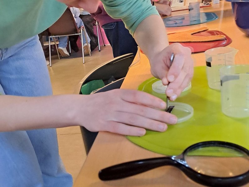 2026-02 2de jaar A en B -53-.jpeg