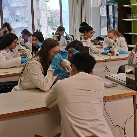 2026-02-26 3-4Maatschappij-welzijn