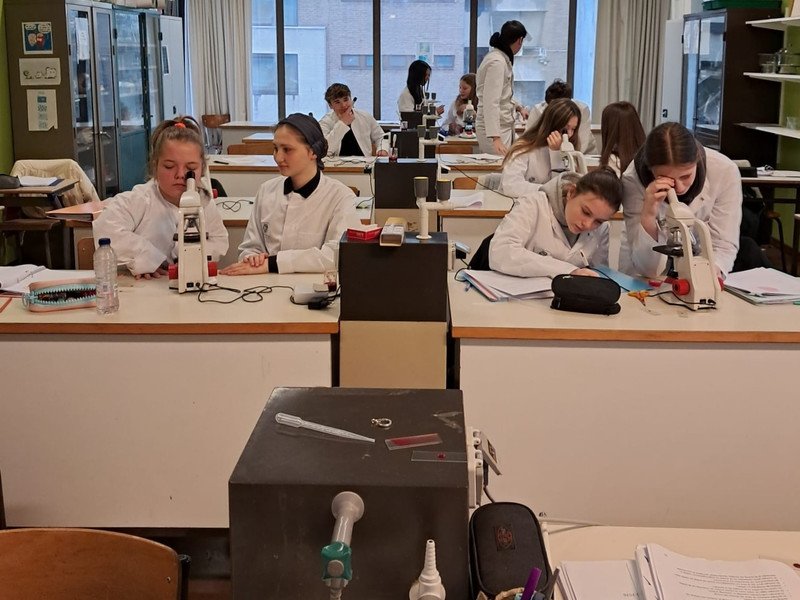 2026-02 3-4Maatschappij-welzijn -2-.jpeg