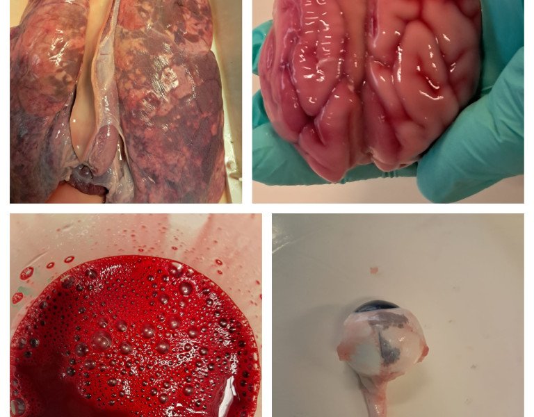 2026-02 3-4Maatschappij-welzijn -3-.png