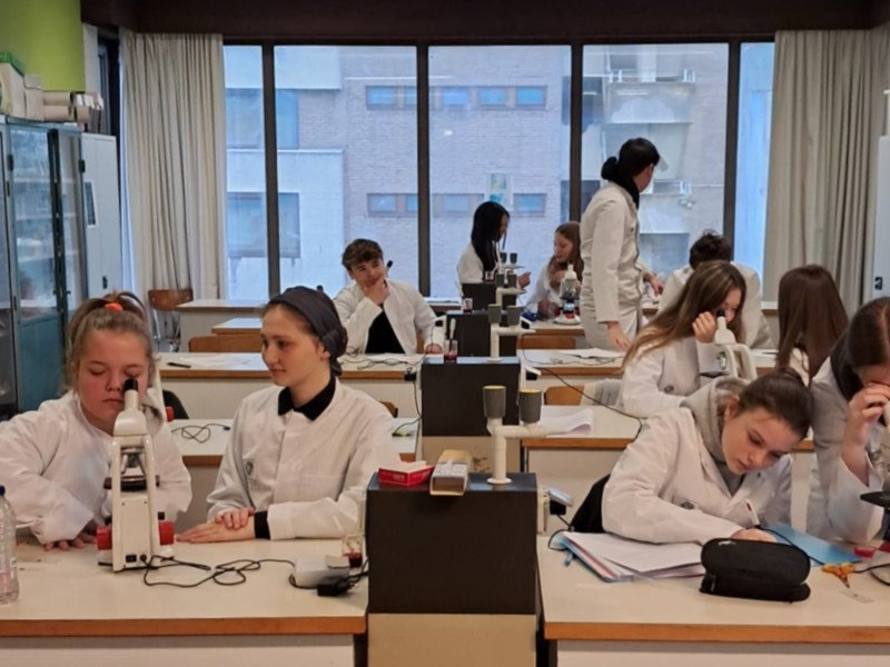 2026-02 3-4Maatschappij-welzijn -2-.png