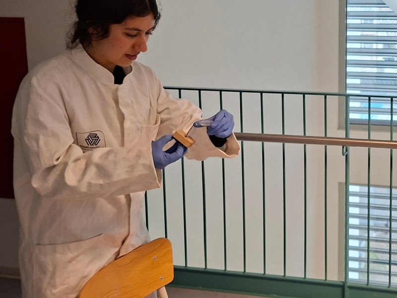 2026-03 4BT -11-.jpg