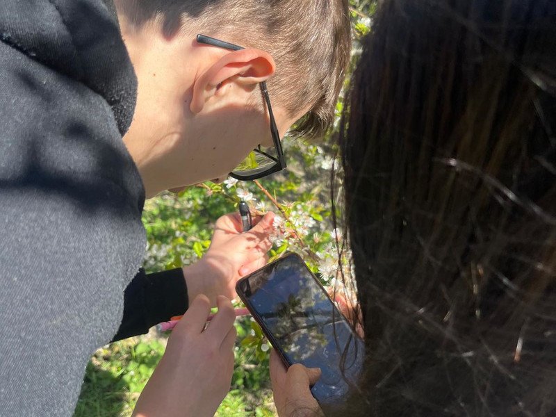 2026-03 2 Spectrum -6-.jpeg