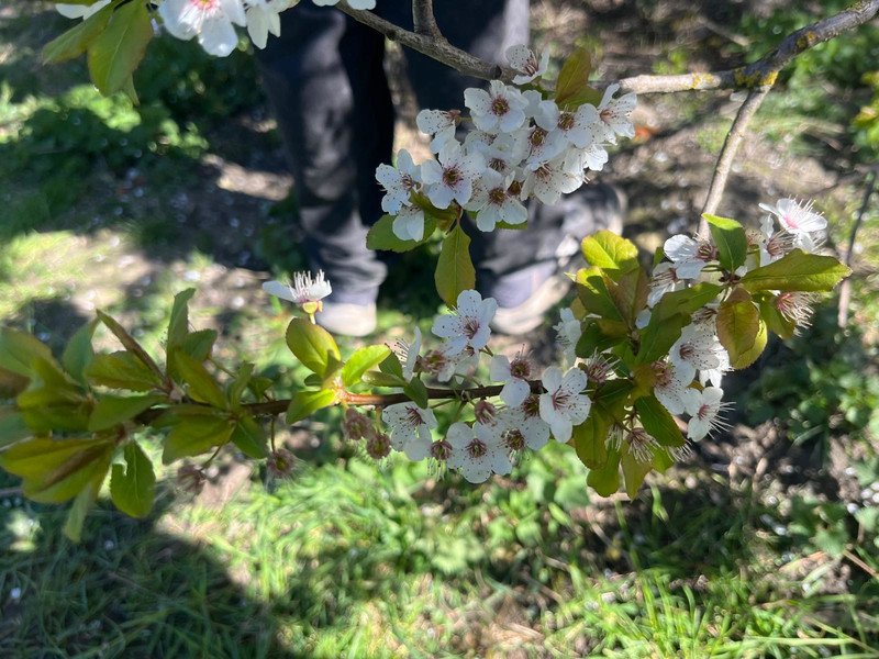 2026-03 2 Spectrum -4-.jpeg