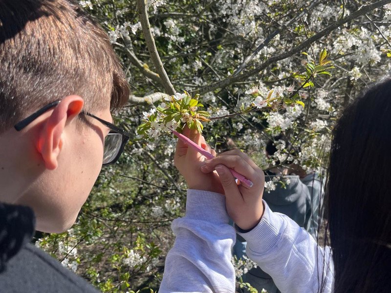 2026-03 2 Spectrum -2-.jpeg