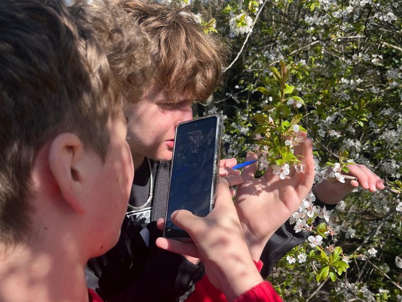 2026-03 2 Spectrum -7-.jpeg