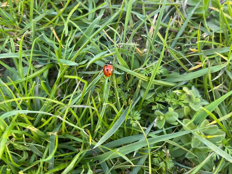 2026-03 2 Spectrum -10-.jpeg