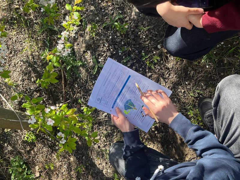 2026-03 2 Spectrum -5-.jpeg