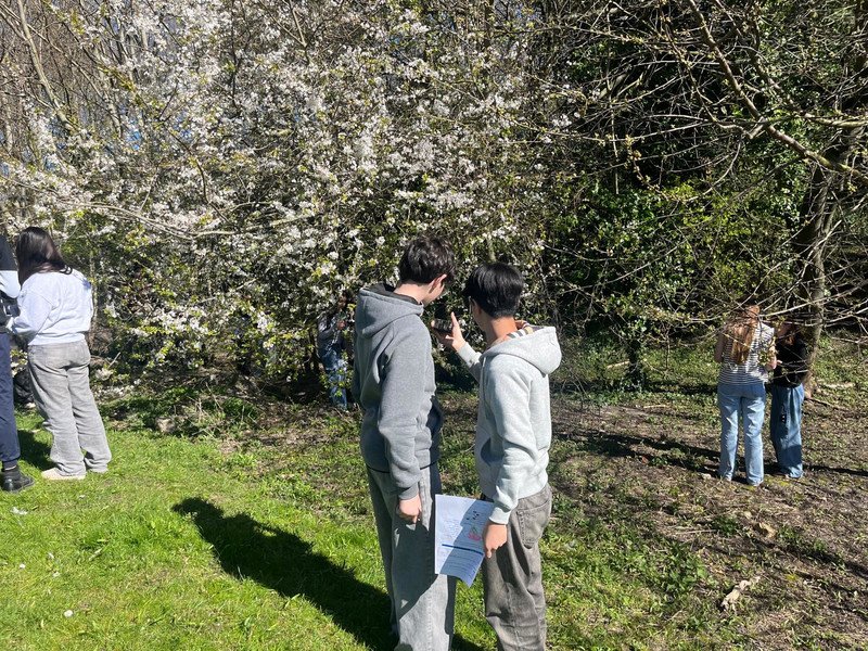 2026-03 2 Spectrum -9-.jpeg