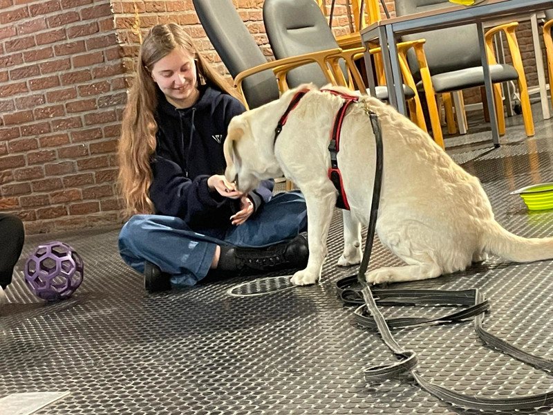 2026-03-27 4HW WZW -4-.jpeg