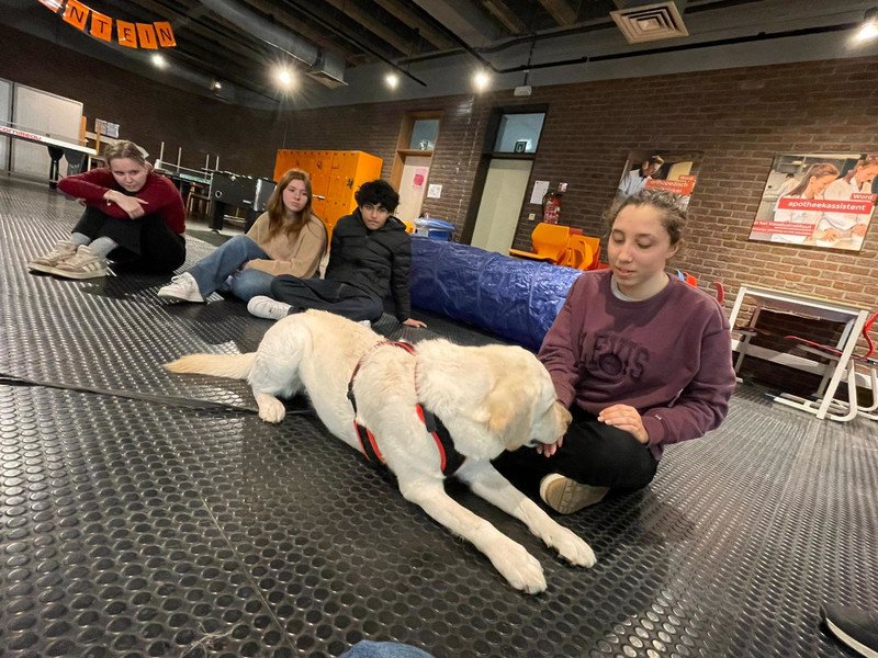 2026-03-27 4HW WZW -3-.jpeg