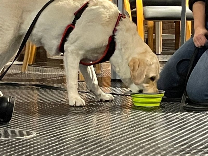 2026-03-27 4HW WZW -5-.jpeg