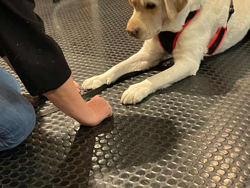 2026-03-27 4HW WZW -6-.jpeg