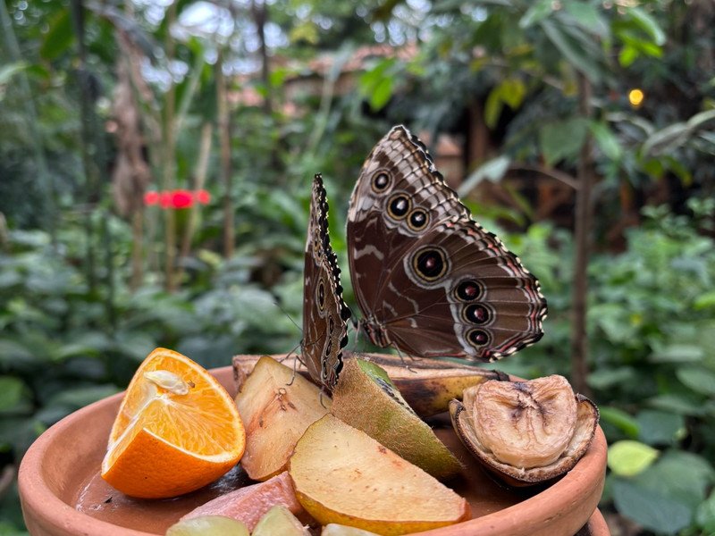 2026-04-02 GWP 1ste -1-.jpeg