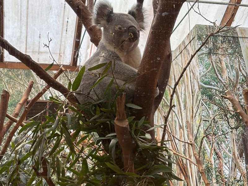 2026-04-02 GWP 1ste -5-.jpeg