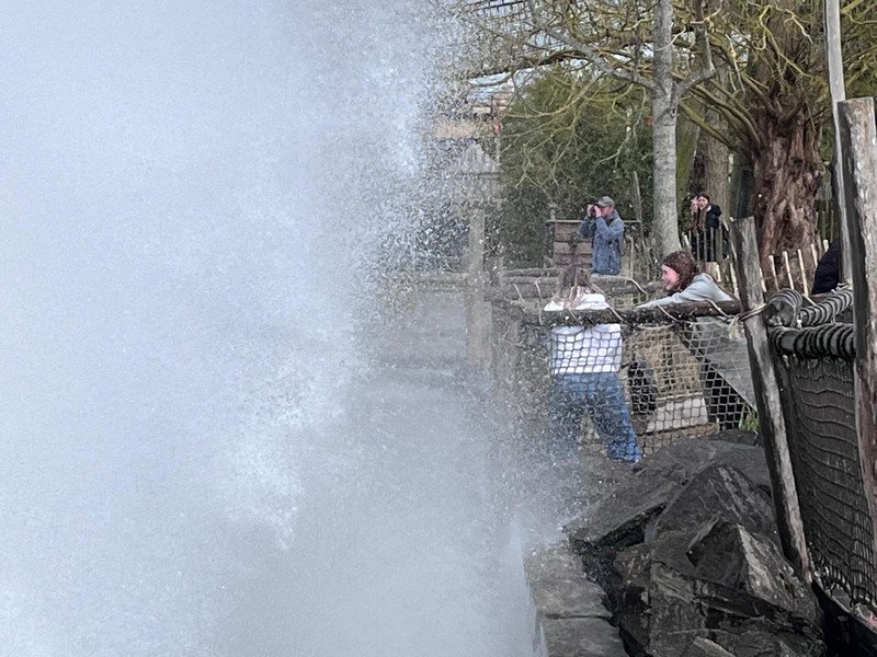 2026-04-02 7KB GWP -7-.jpeg